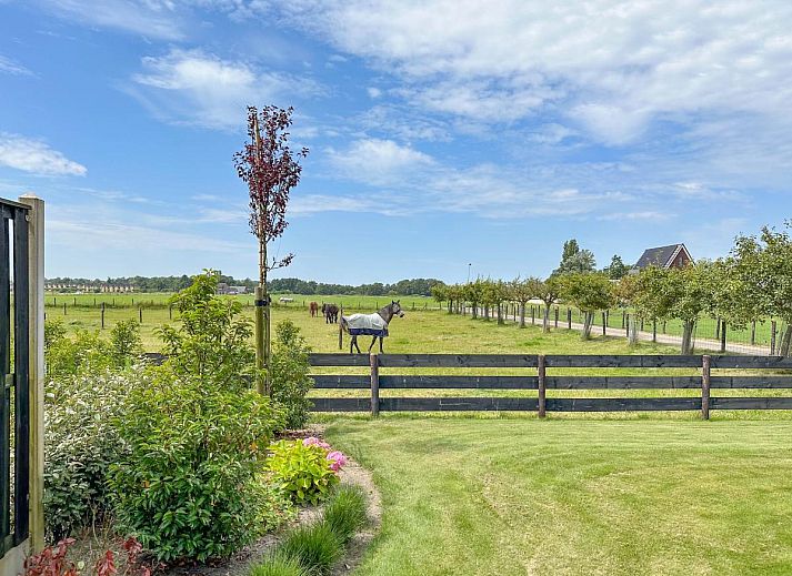 Unterkunft 491911 - Chalet Noord-Holland midden - De Zwaluw