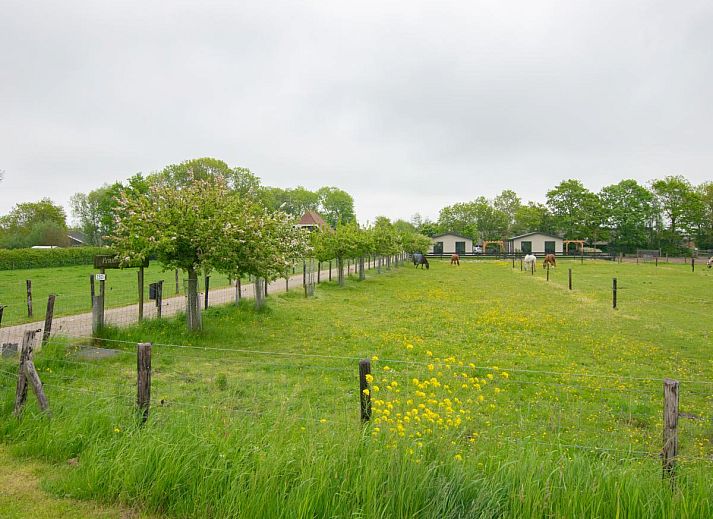 Unterkunft 491911 - Chalet Noord-Holland midden - De Zwaluw