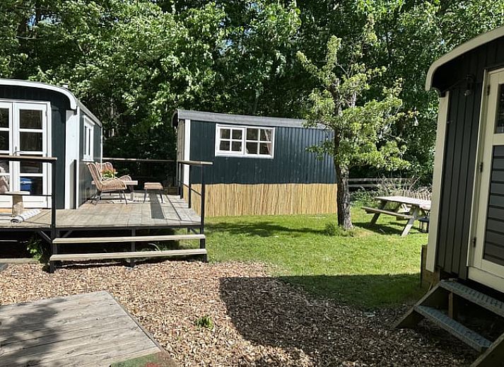 Geniessen Sie die Terrasse des Ferienhauses in Stompetoren, Nordholland, umgeben von viel Gruen und Ruhe.
