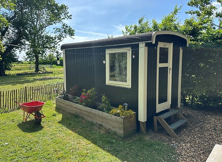Geniessen Sie die Terrasse des Ferienhauses in Stompetoren, Nordholland, umgeben von viel Gruen und Ruhe.