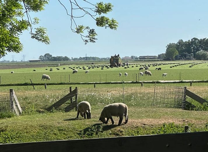 Entspannen Sie sich im privaten Whirlpool des Ferienhauses in Stompetoren, Nordholland, inmitten der Natur.
