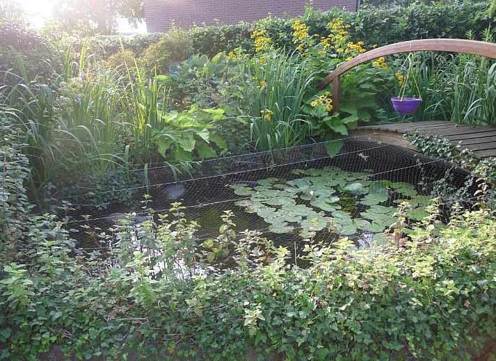 Verblijf 493805 - Bed and breakfast Midden Limburg - B&B De Kleine Wijngaard