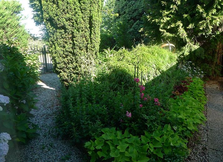 Verblijf 493805 - Bed and breakfast Midden Limburg - B&B De Kleine Wijngaard