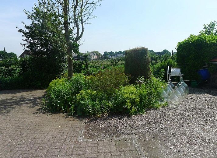 Verblijf 493805 - Bed and breakfast Midden Limburg - B&B De Kleine Wijngaard