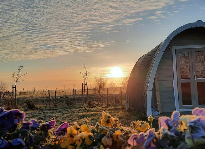 Gezellige veranda van Huisje in Zuid-Scharwoude, een vakantiehuis in Noord-Holland, met uitzicht op de groene omgeving.