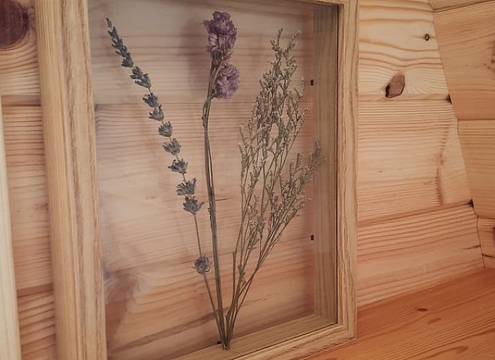 Gezellige veranda van Huisje in Zuid-Scharwoude, een vakantiehuis in Noord-Holland, met uitzicht op de groene omgeving.