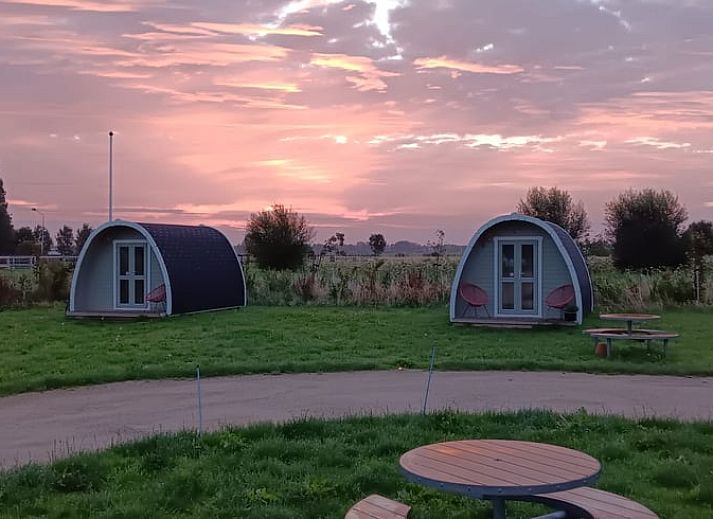 Ontdek de boerderijdieren bij Huisje in Zuid-Scharwoude, een vakantiehuis in Noord-Holland, voor een unieke landelijke ervaring.