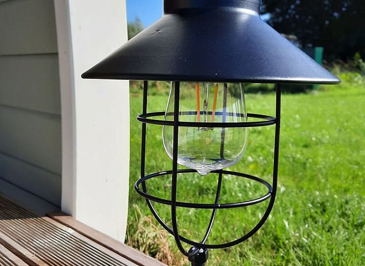 Ontdek de boerderijdieren bij Huisje in Zuid-Scharwoude, een vakantiehuis in Noord-Holland, voor een unieke landelijke ervaring.