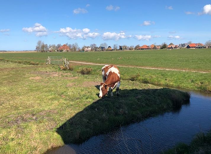 Guest house 493905 - Holiday property Noord-Holland midden - Vakantiehuisje in de Woude