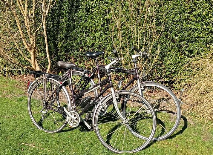 Verblijf 494701 - Vakantiewoning Noord-Holland midden - Huisje in Spanbroek