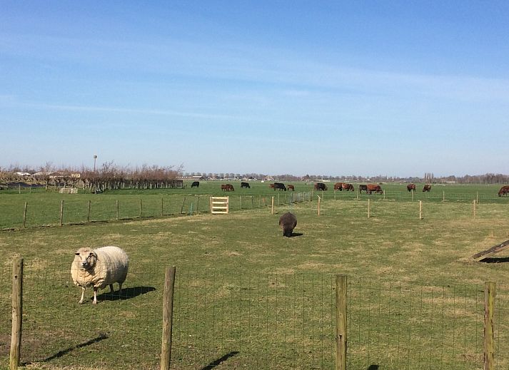 NH539 Ferienhaus in Spanbroek, Nordholland mit charmanter Fassade und gruener Umgebung