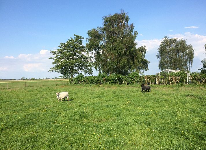 Gemuetlicher Innenbereich des NH539 Ferienhauses in Spanbroek, Nordholland mit Treppe und Essbereich