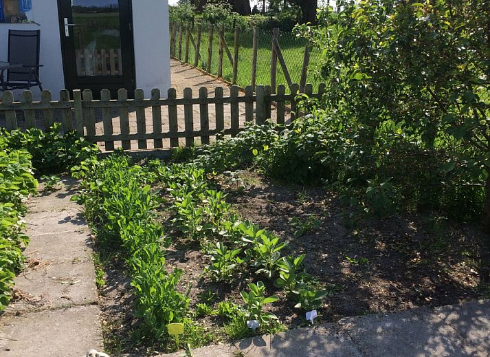 Schlafzimmer des NH539 Ferienhauses in Spanbroek, Nordholland mit Blick auf die Natur