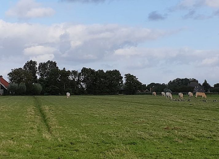 Cozy living room in Holiday Home in Driehuizen, North Holland, with comfortable sofa and garden view.