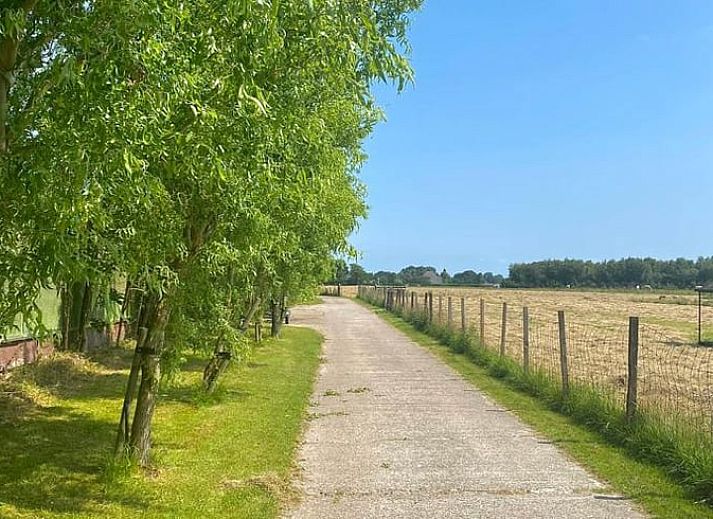 Cozy living room in Holiday Home in Driehuizen, North Holland, with comfortable sofa and garden view.