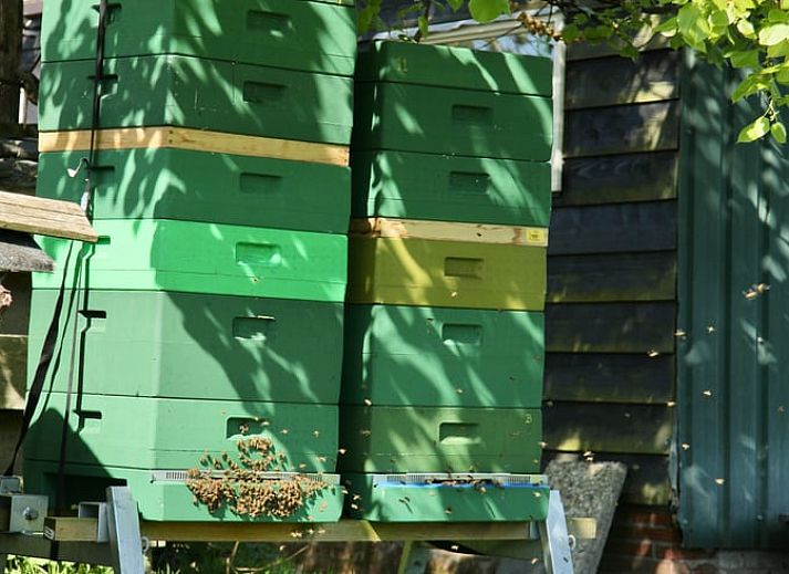 Guest house 495504 - Holiday property Noord-Holland midden - Huisje in Heerhugowaard