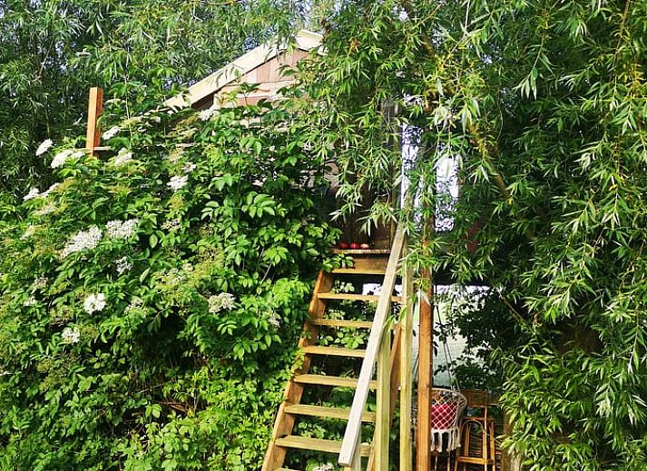 Gemuetliche Veranda im Cottage in West Beemster, Ferienhaus in Nordholland, mit Schaukelstuhl und gruener Umgebung.