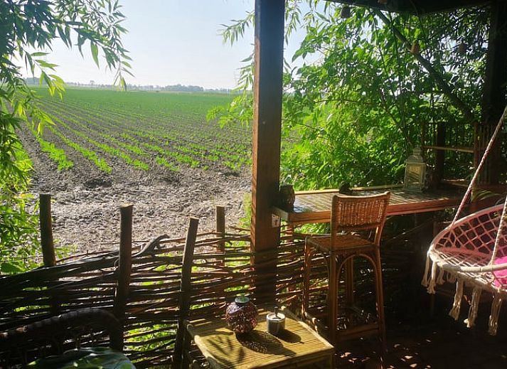 Gemuetliche Veranda im Cottage in West Beemster, Ferienhaus in Nordholland, mit Schaukelstuhl und gruener Umgebung.