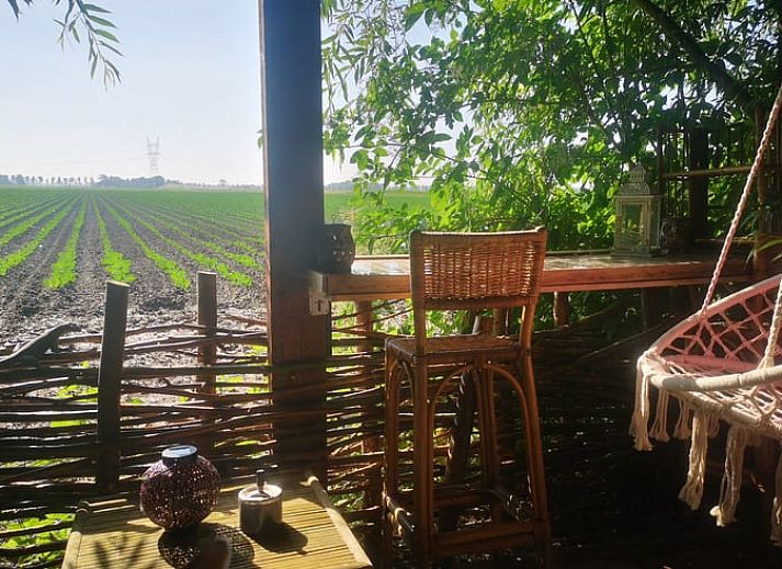 Gemuetliche Veranda im Cottage in West Beemster, Ferienhaus in Nordholland, mit Schaukelstuhl und gruener Umgebung.