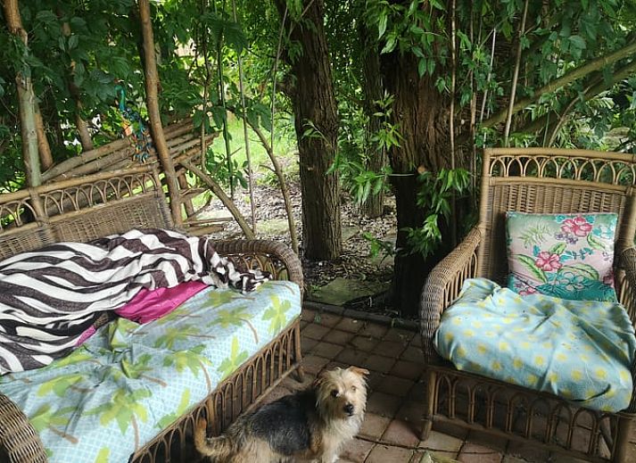 Treppe zum Baumhaus im Cottage in West Beemster, Ferienhaus in Nordholland, umgeben von ueppiger Natur.