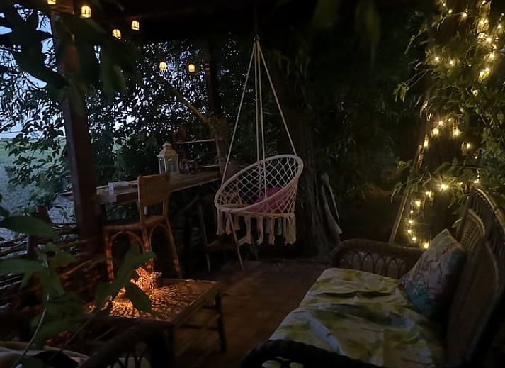 Treppe zum Baumhaus im Cottage in West Beemster, Ferienhaus in Nordholland, umgeben von ueppiger Natur.