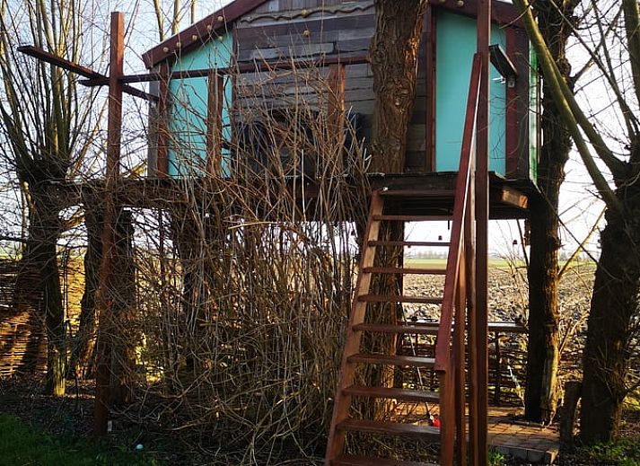 Treppe zum Baumhaus im Cottage in West Beemster, Ferienhaus in Nordholland, umgeben von ueppiger Natur.