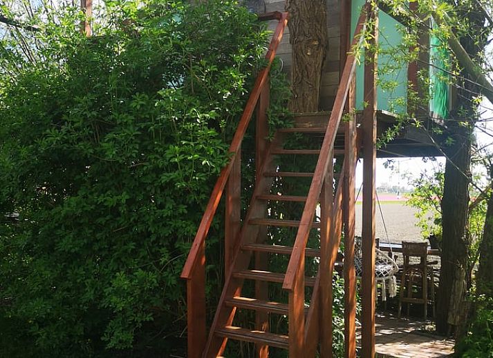 Treppe zum Baumhaus im Cottage in West Beemster, Ferienhaus in Nordholland, umgeben von ueppiger Natur.