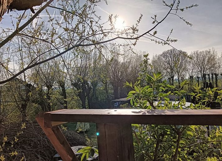 Holzbar mit Blick auf die Landschaft im Cottage in West Beemster, Ferienhaus in Nordholland.