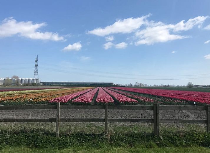 Verblijf 495604 - Vakantiewoning Noord-Holland midden - Vakantiehuisje in Westbeemster