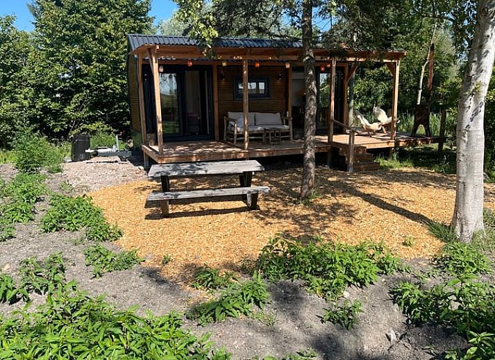 Guest house 500105 - Holiday property Noord-Holland zuid - Huisje in Assendelft