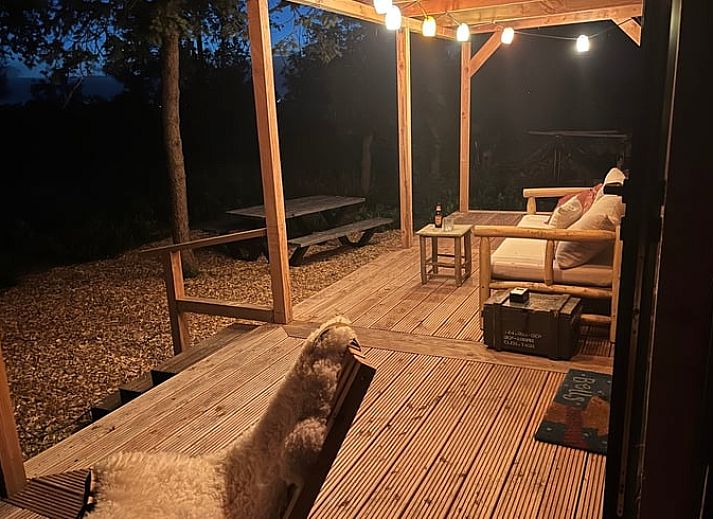 Guest house 500105 - Holiday property Noord-Holland zuid - Huisje in Assendelft