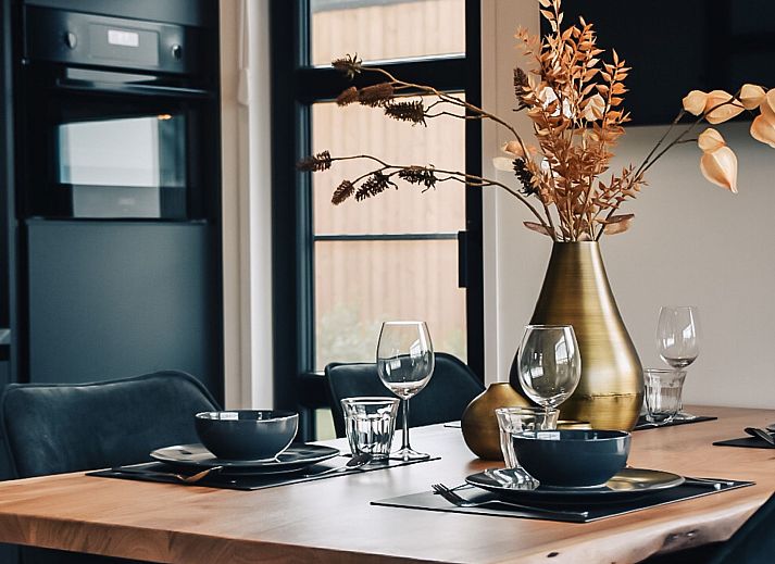 Guest house 500606 - Holiday property Noord-Holland zuid - Vakantiehuis MarinaPark Nieuw Loosdrecht