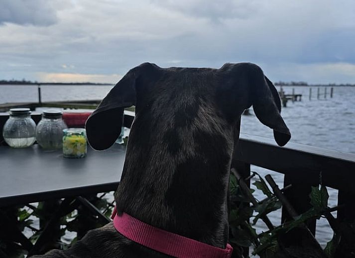 Gemuetliche Terrasse im Ferienhaus in Loosdrecht, Nordholland, mit Blick auf das Wasser und einem komfortablen Sitzbereich.