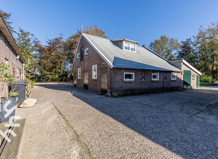 Kuehe auf der Wiese beim Ferienhaus NH225 in Loosdrecht, Nordholland.