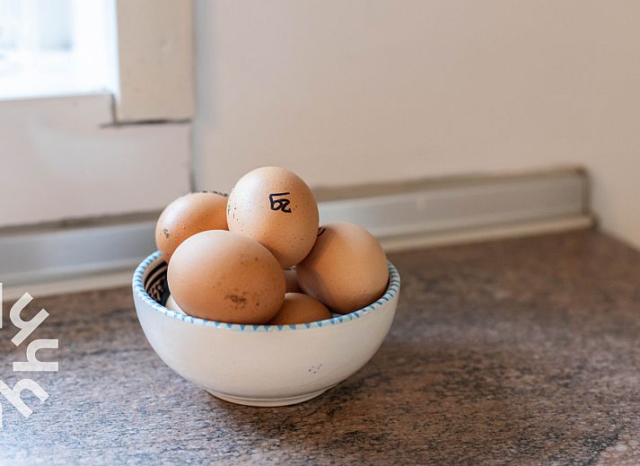 Schlafzimmer mit zwei Betten im Ferienhaus NH225 in Loosdrecht, Nordholland.