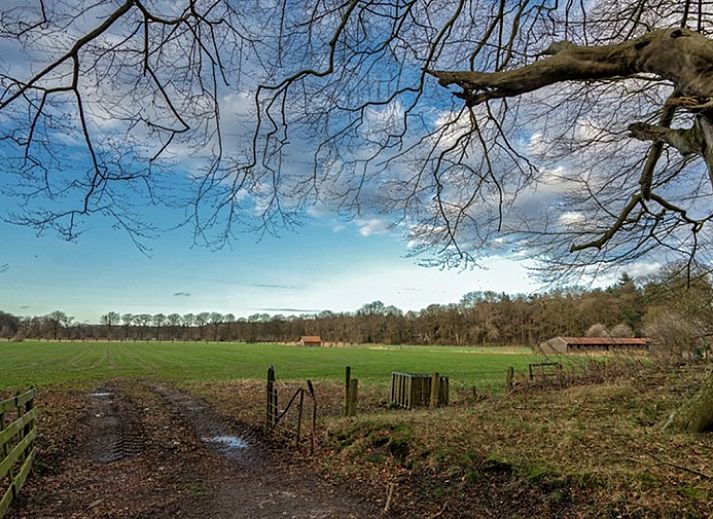 Cozy terrace at 4-person Boekesteyn in Loosdrecht, North Holland, surrounded by autumn colors.