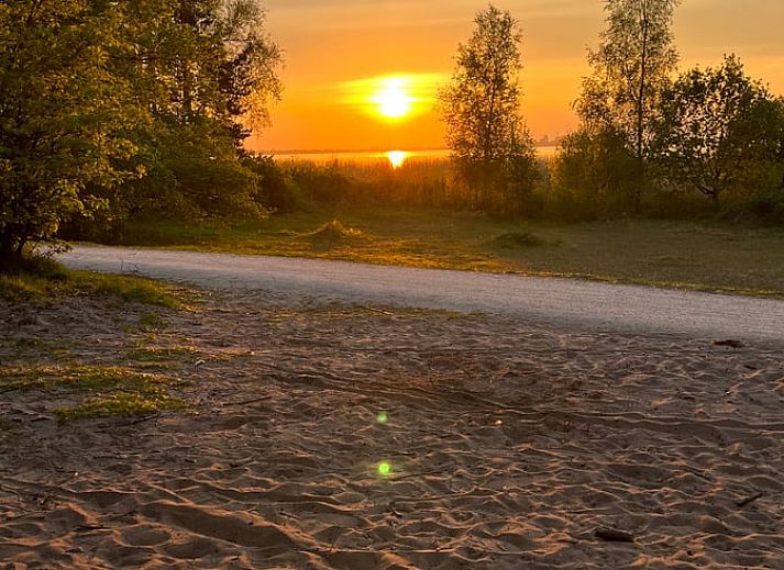 Ingang van vakantiehuisje in Naarden, Noord-Holland zuid, verscholen tussen de bomen voor privacy en rust.