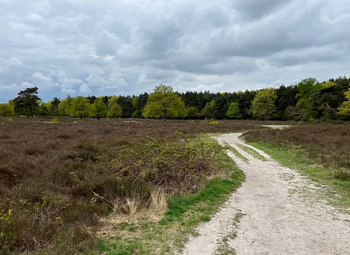 Ingang van vakantiehuisje in Naarden, Noord-Holland zuid, verscholen tussen de bomen voor privacy en rust.