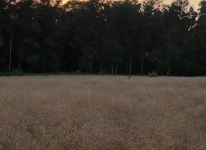 Gemuetliche Kueche im Ferienhaus in Naarden, Nordholland, mit blauen Schraenken und modernen Annehmlichkeiten.