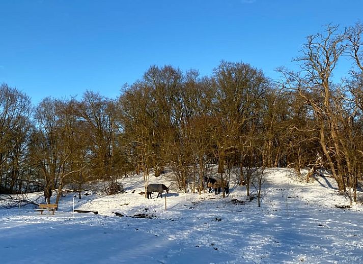 Gemuetliche Kueche im Ferienhaus in Naarden, Nordholland, mit blauen Schraenken und modernen Annehmlichkeiten.