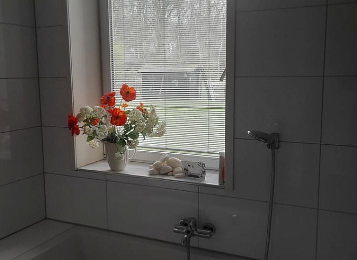 Verblijf 501301 - Vakantiewoning Noord-Holland zuid - Vakantiehuisje in `s Graveland