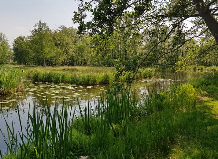 Cozy interior of Cottage in Kortenhoef, North Holland, with French doors.