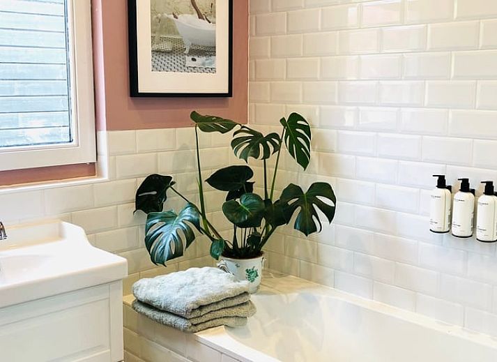 Vacation home in Amsterdam, charming facade in the heart of Amsterdam, vacation home in North Holland.