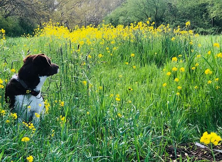 Stylish corner in Holiday home in Amsterdam, modern decoration in vacation home in Amsterdam.