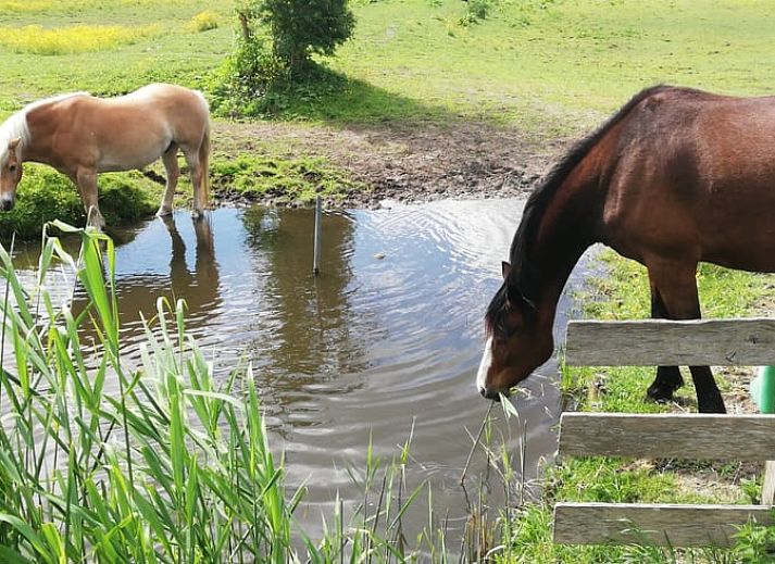 Artwork in Holiday home in Amsterdam, artistic details in vacation home in Amsterdam.