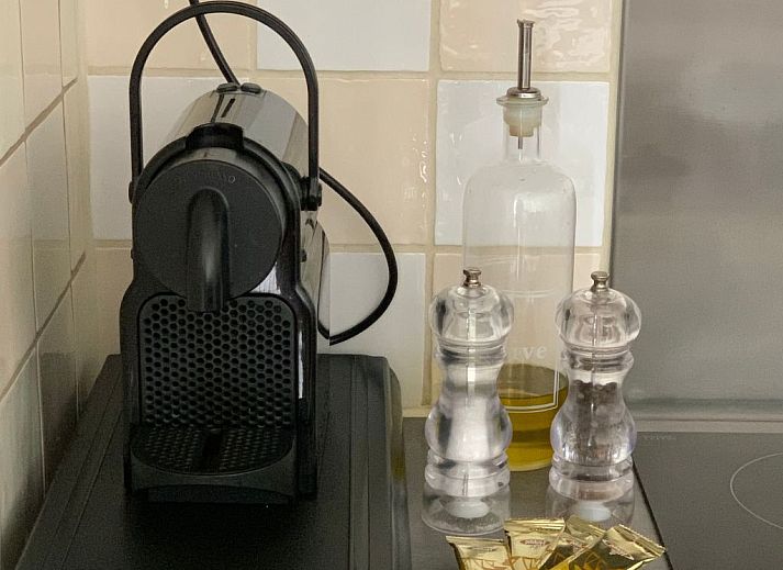 Guest house 510202 - Holiday property Amsterdam eo - Vakantiehuis Zaandam in der Nähe aller niederländischen Se