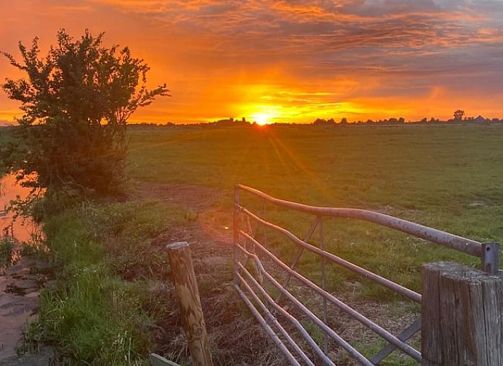 Geniet van de rust bij Vakantiehuis in Uitdam, gelegen in het groene landschap van Noord-Holland, vlakbij Amsterdam met prachtig uitzicht op de natuur.
