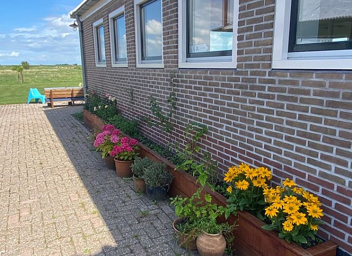 Moderne keuken in Vakantiehuis in Uitdam, Amsterdam eo, Noord-Holland met uitzicht op groene weiden en helderblauwe lucht.