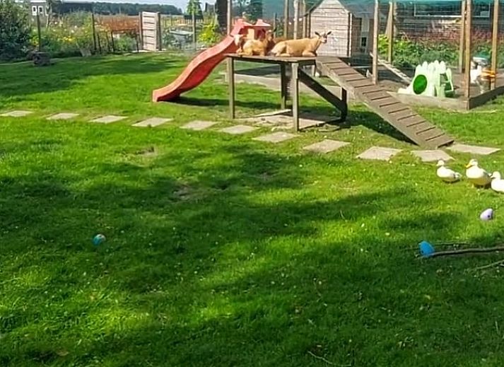Verblijf 511802 - Vakantiewoning Amsterdam eo - Vakantiehuisje in Wijdewormer