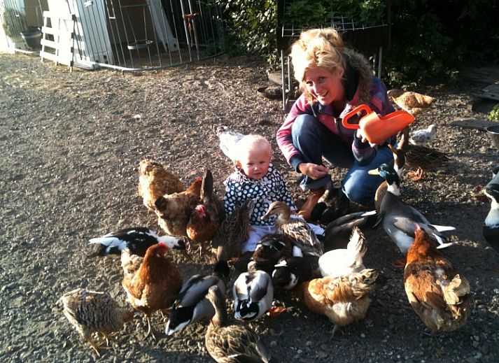 Unterkunft 512401 - Ferienhaus IJsselmeerkust - Overleekerhoeve